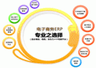 ERP与电子商务的关系