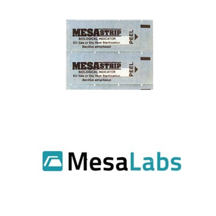 MesaStrip芽孢条生物指示物SGMS/6