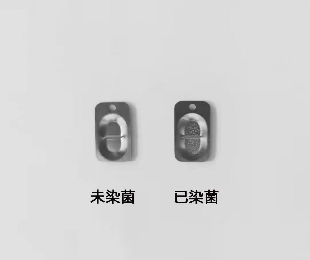 不锈钢菌片15X9mm.jpg