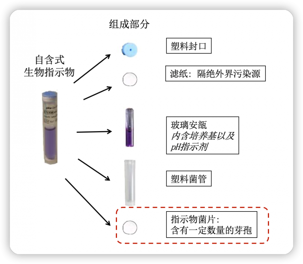 自含式生物指示剂结构.png