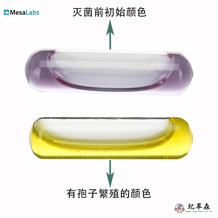 SA/6液体灭菌生物指示剂